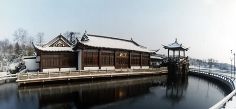 �������Y