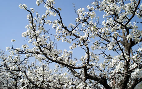 �������Y