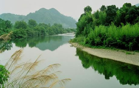 �������Y