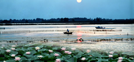 �������Y