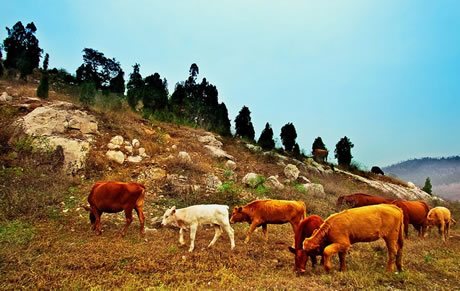 �������Y