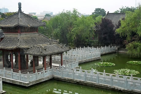 �������Y