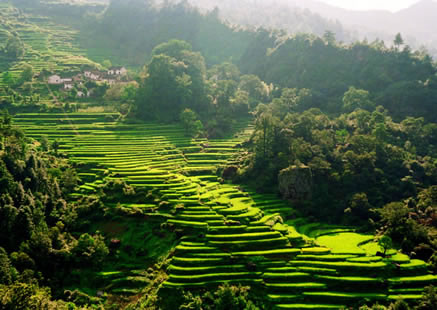 �������Y