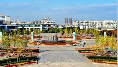 �������Y