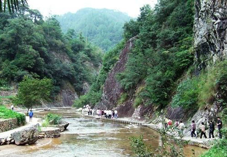 �������Y