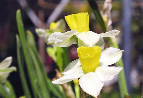 �������Y