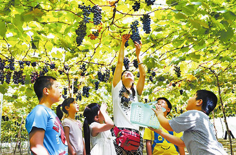 �������Y