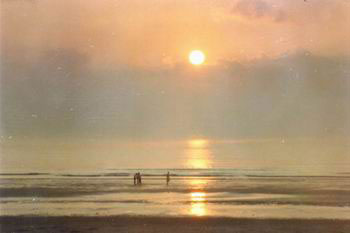 �������Y