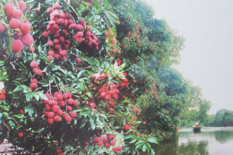 �������Y