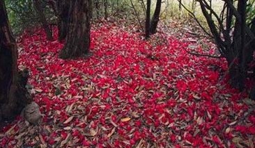 �������Y