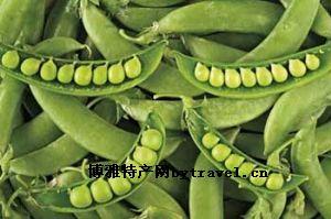 �������Y