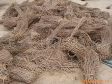 �������Y