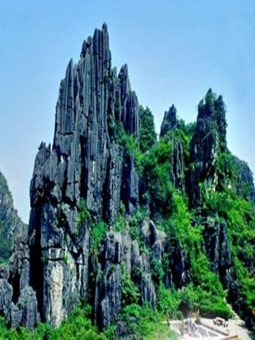 �������Y