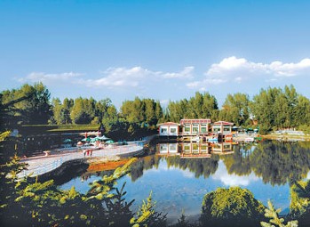 �������Y