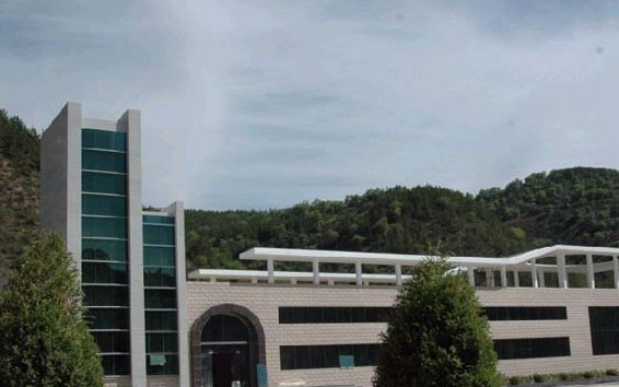 �������Y