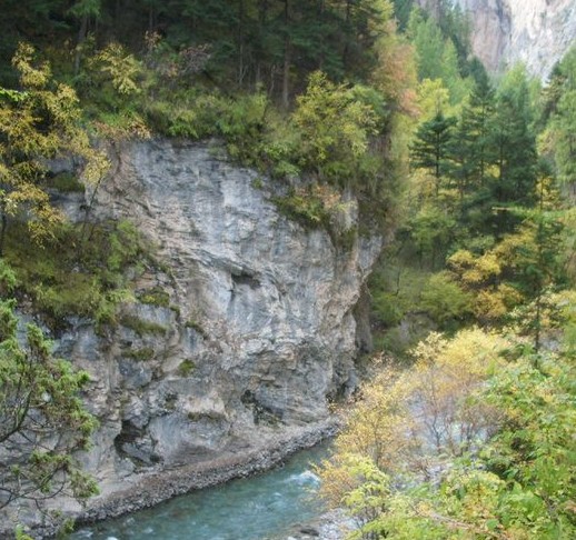 �������Y