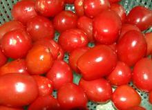 �������Y