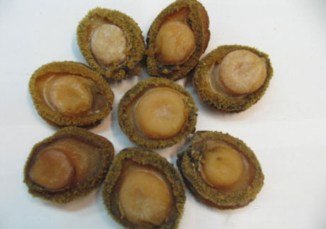 �������Y