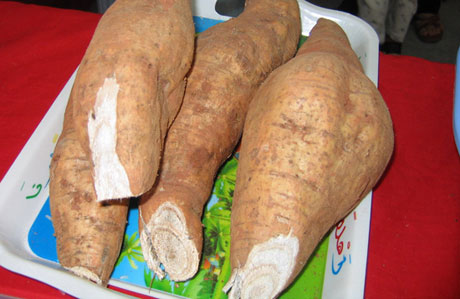 �������Y