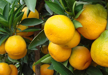 �������Y