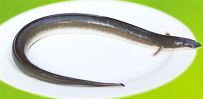 �������Y