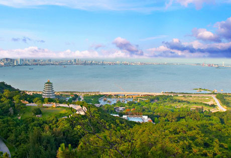 �������Y