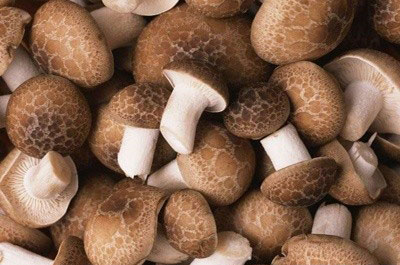 �������Y