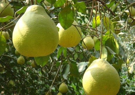 �������Y