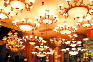 �������Y