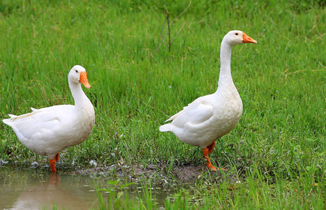 �������Y