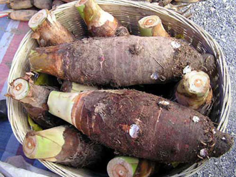 �������Y