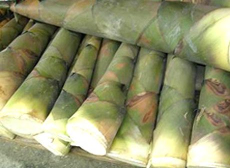 �������Y