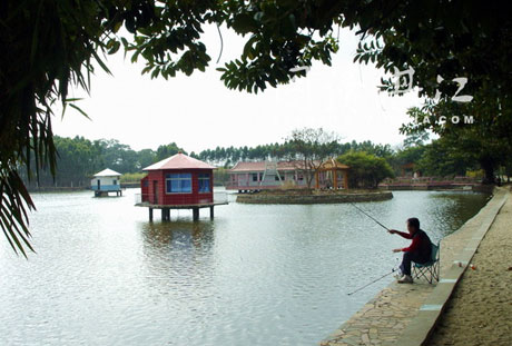 �������Y