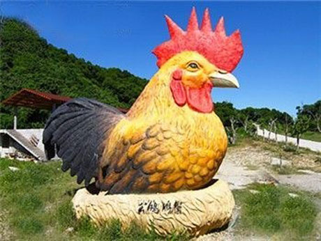 �������Y