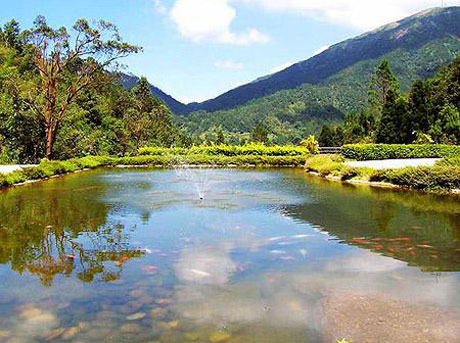 �������Y