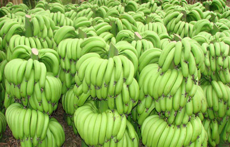 �������Y