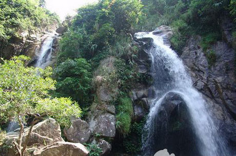 �������Y