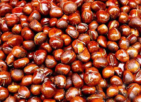 �������Y