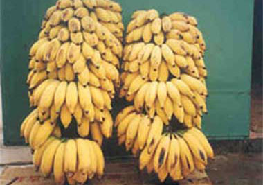 �������Y