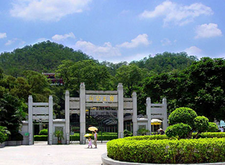 �������Y