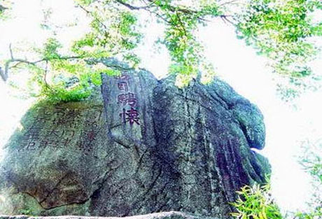 �������Y