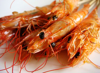 �������Y