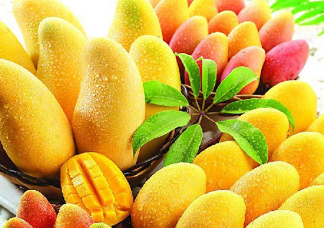 �������Y