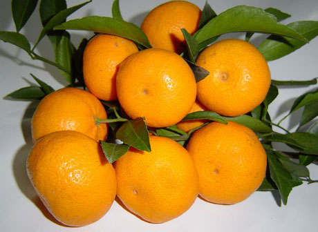 �������Y