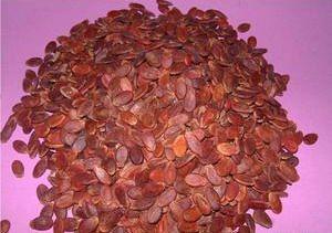 �������Y