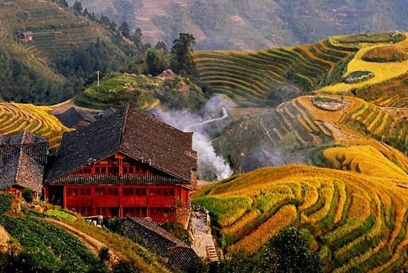 �������Y