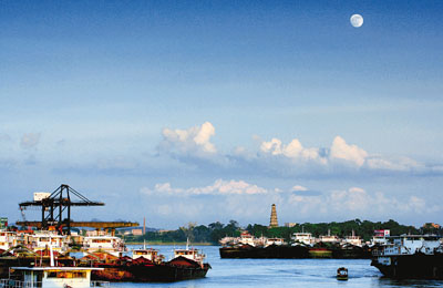 �������Y