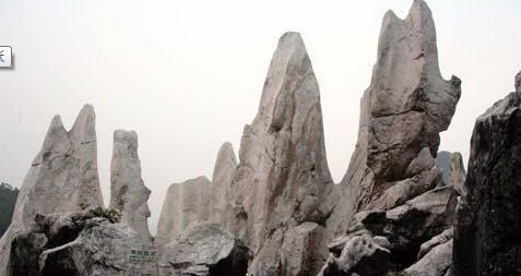 �������Y