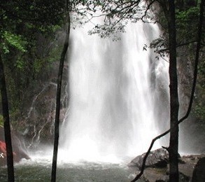 �������Y