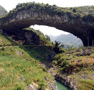 �������Y